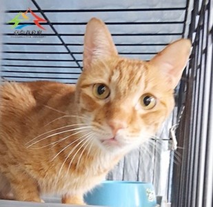 11501030011開-6 (5)