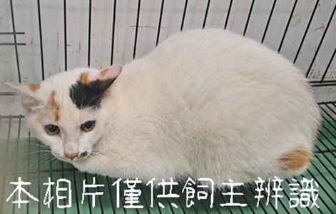 11502276001_3-11動保