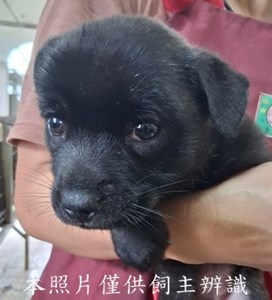 11502280003收-幼29