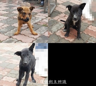 11503030015-17收-E-tile