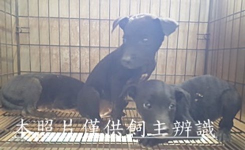 11503030021-23收-幼24