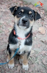 11502128007認養 (18)