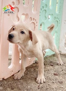 11501198021 聖心 (2)