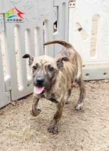 11501278009 聖心 (1)