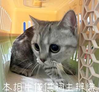 11503056001_3-21動保