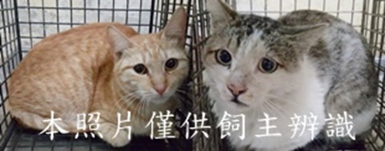 11503050001-2收-tile