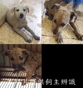 11503050005-7收-tile