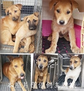 11503050008-13收-tile-vert