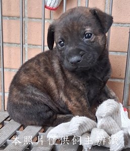 11503060001收-幼13