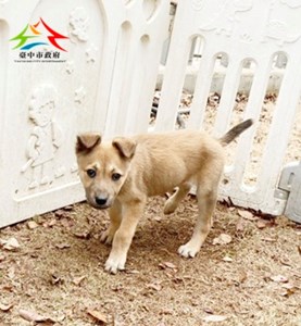 11502118007 田心 (1)