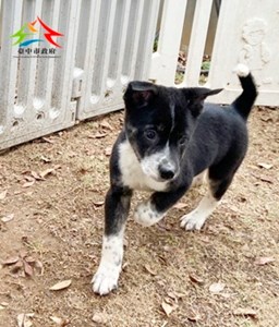 11502098012 田心 (4)