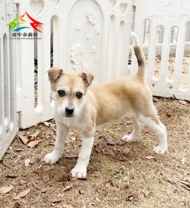 11502098011 田心 (1)