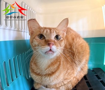 b1YbRo2nmHwqE6JRefMnOg