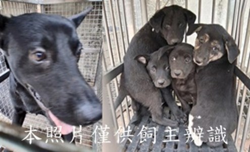 11503090007-11收-horz