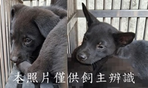 11503090012-13收-horz