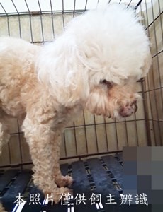 11503090021收-幼38