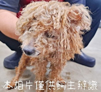 11503106001_3F5動保