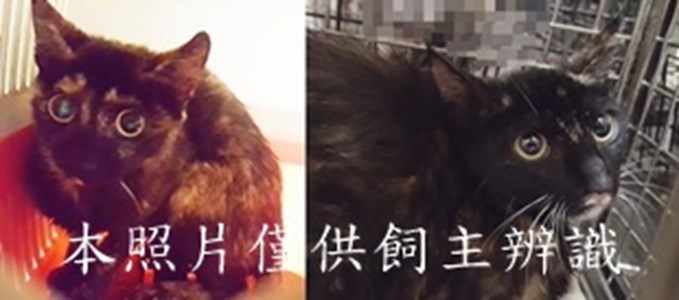 11504080004-5收-horz