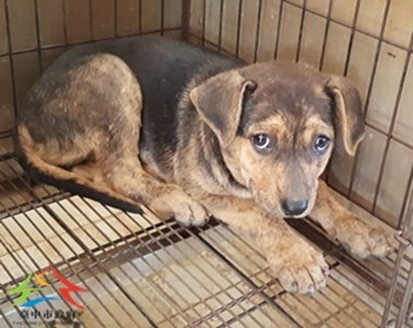 11503180008收-幼27