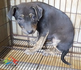 11503180011收-幼31