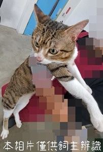 11504206001動保_3-13 (1)