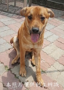 11504200004收-F35-5