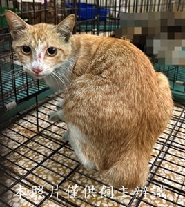 11504220007收75
