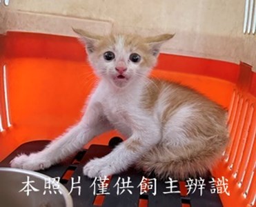 11504220008收17