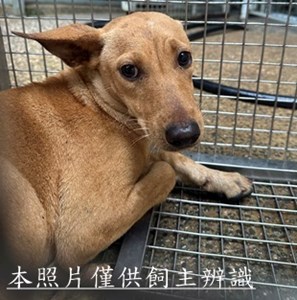11504240013收18