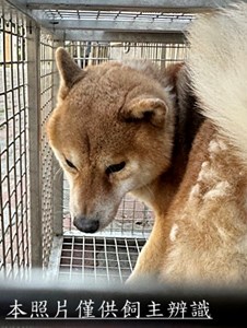 11504270001-2收D (1)