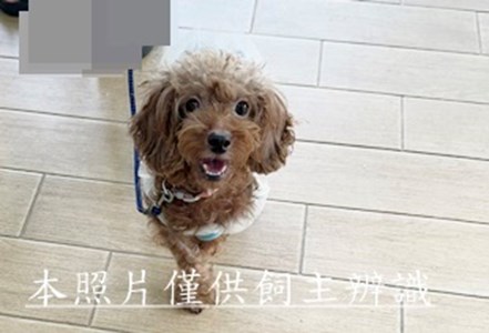 11504270008收棄貴賓