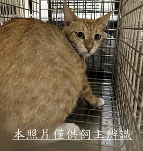 11504290010收13