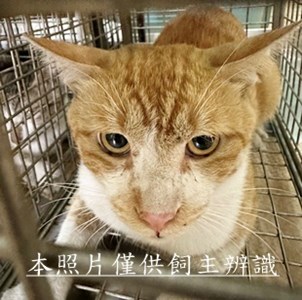 11504290011收68