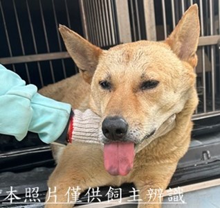11504290012收24