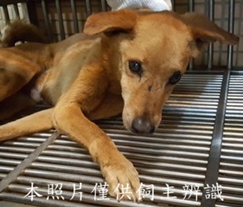11505070009收-安5