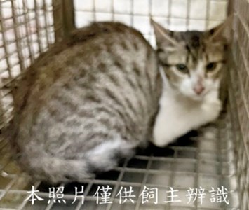 11505150004收13