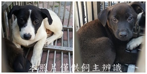 11505190002-3收