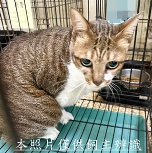 11505190010收67