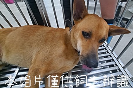 11505296002_3F8(動保案件)放4F