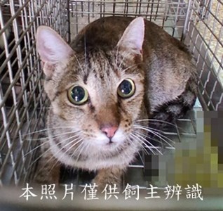 11506060002收-20