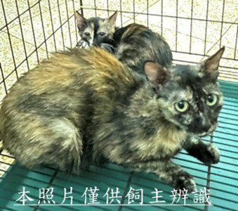 11506080010-11收20