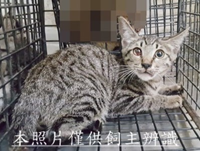 11506090003收-1