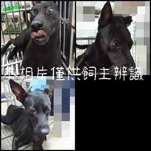 11506106003-5