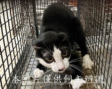 11506130014收30