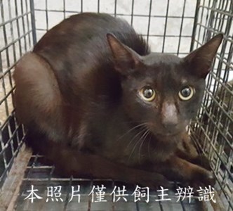 11506170011收-35