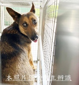11507070007收安6