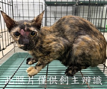 11507086006拾