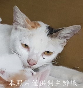 11507080011收-78