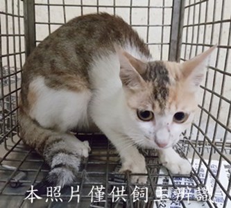 11507090001收-45