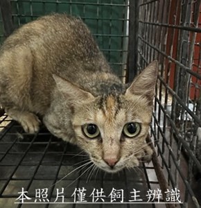 11507140004收25